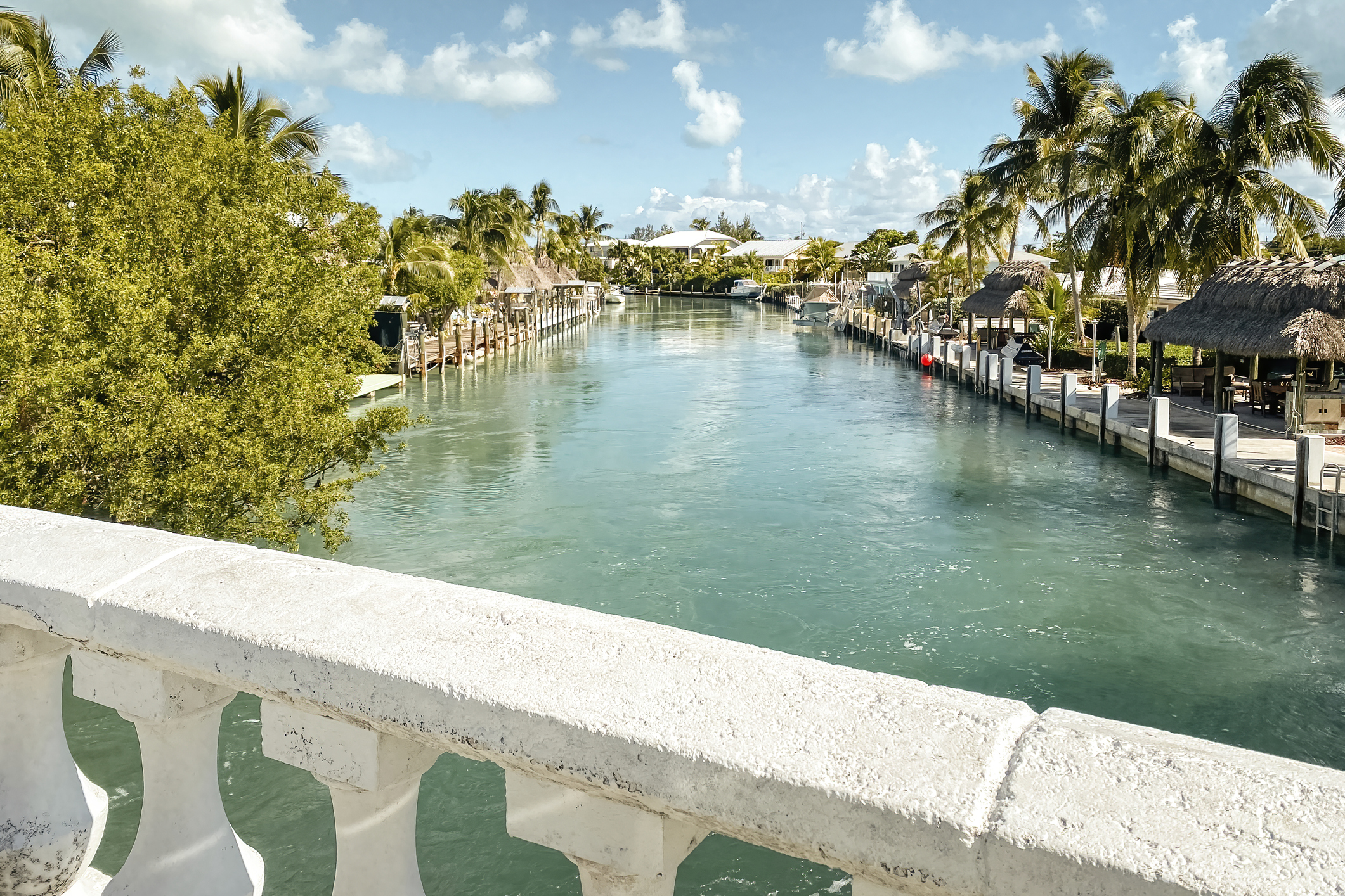 Tropical canal with palm trees and docks