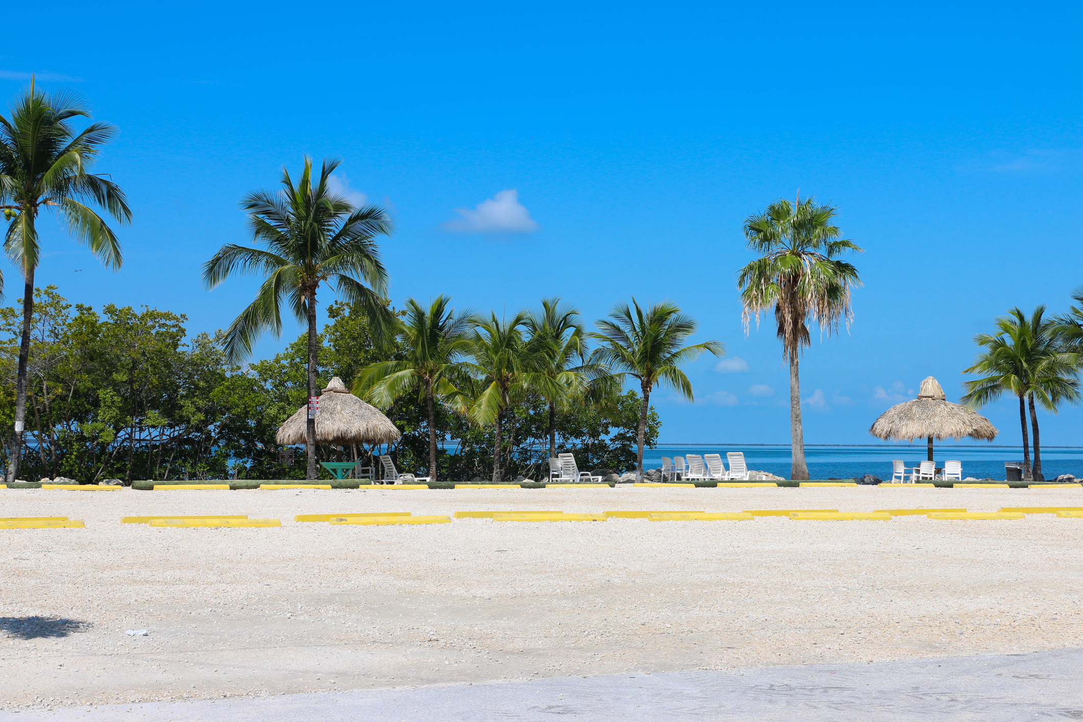 Tropical beach with palm trees and umbrellas