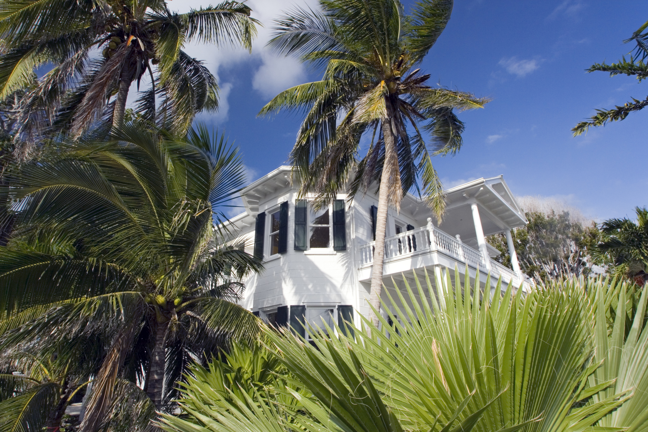 White tropical house with palm trees