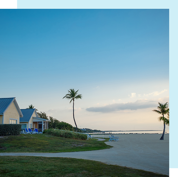 Beachfront cottages with palm trees and ocean